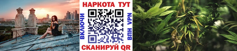 Галлюциногенные грибы Каспийск