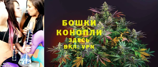 прущие грибы Балахна