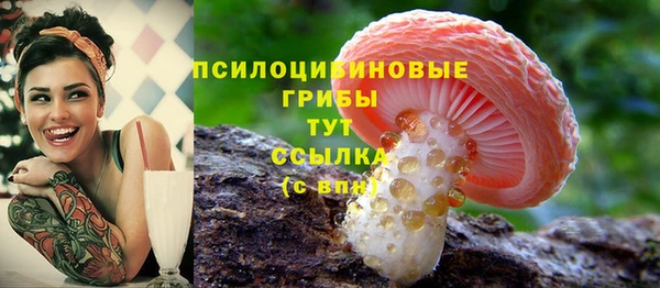 прущие грибы Балахна