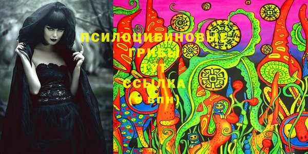 прущие грибы Балахна