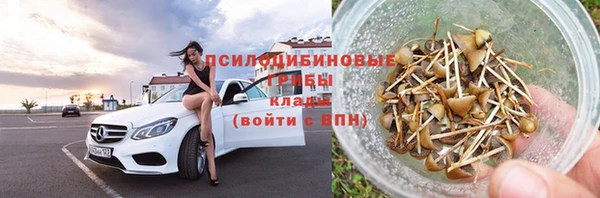 гидра Баксан