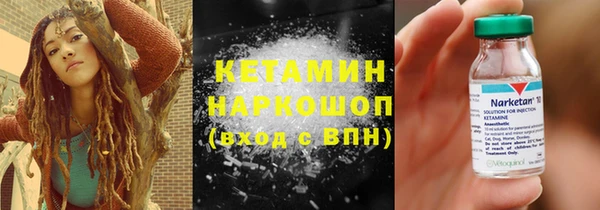 прущие грибы Балахна