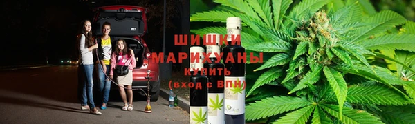 меф Арсеньев
