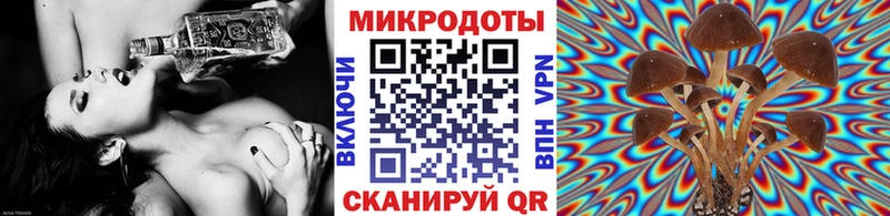 Псилоцибиновые грибы GOLDEN TEACHER  ОМГ ОМГ вход  Каспийск 